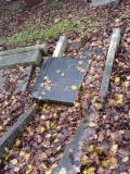 image of grave number 948525